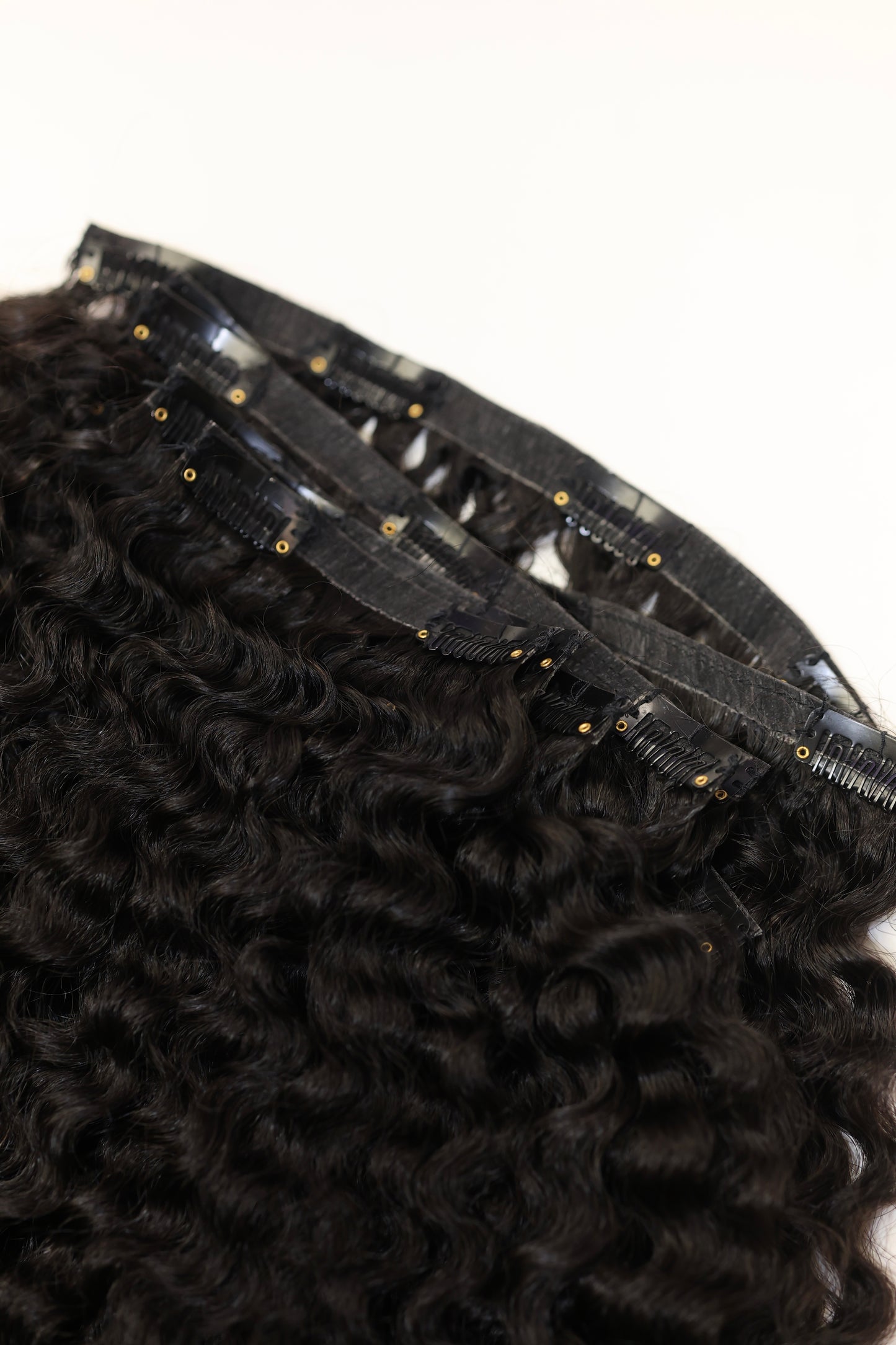 BURMESE CURLY CLIPINS